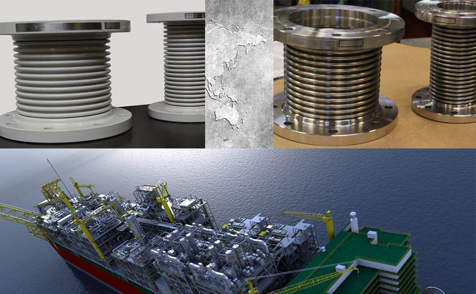 Duplex bellows for Floating liquefied natural gas carrier