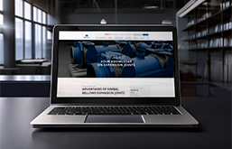 the page preview of the page ADVANTAGES OF GIMBAL BELLOWS EXPANSION JOINTS