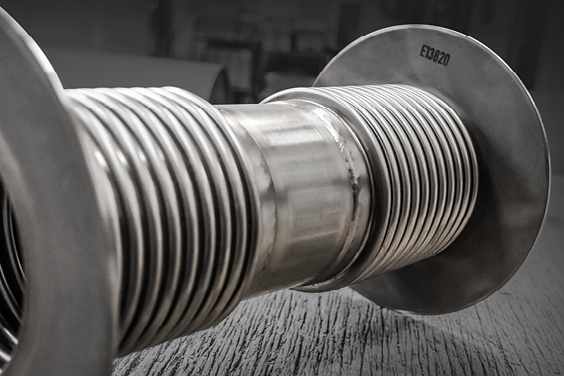 Darkside-20K_Expansion Joint_BELMAN_Web_ Juntas de expansión DarkSide-20k