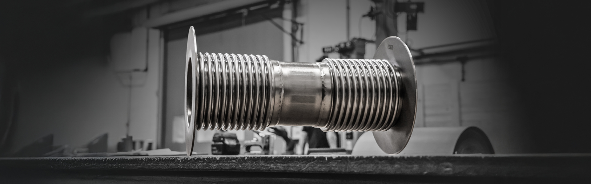 Juntas de expansión DarkSide-20k